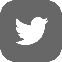 krikya twitter
